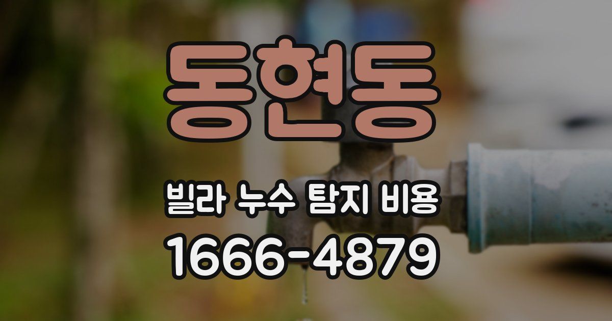 동현동 빌라 누수 탐지 비용