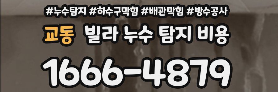 교동 빌라 누수 탐지 비용
