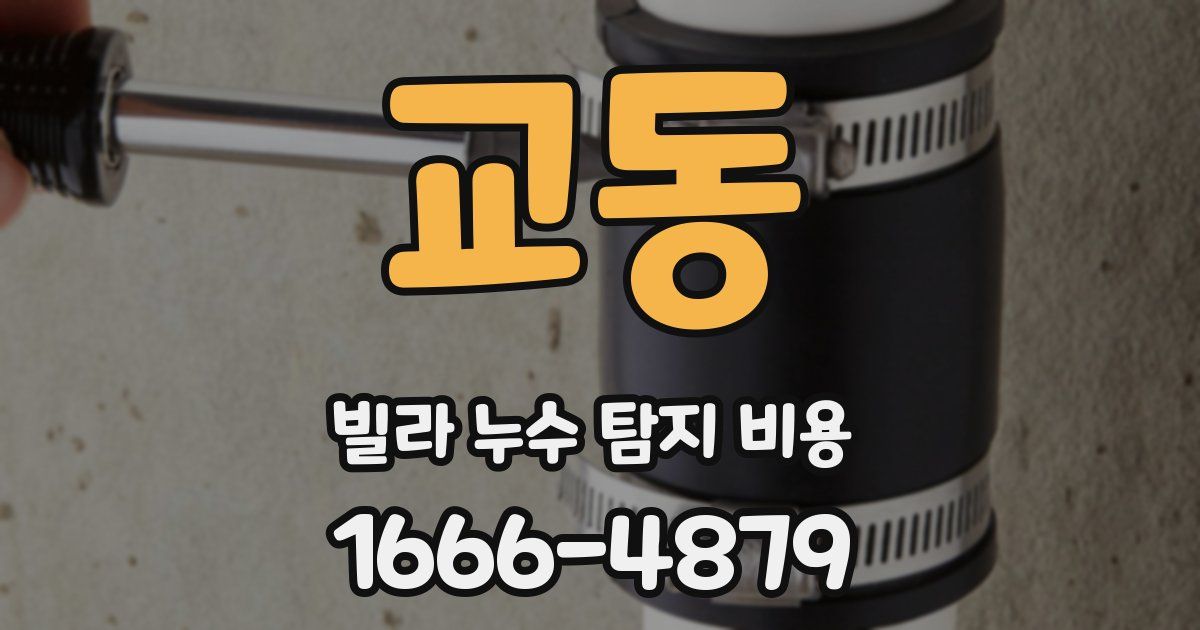 교동 빌라 누수 탐지 비용