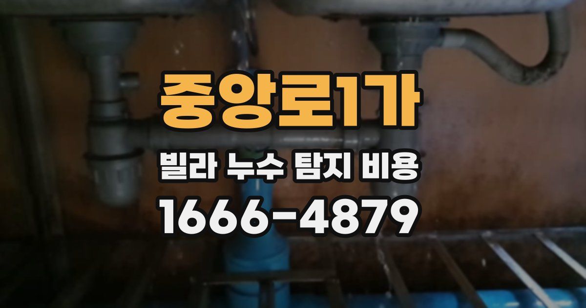 중앙로1가 빌라 누수 탐지 비용