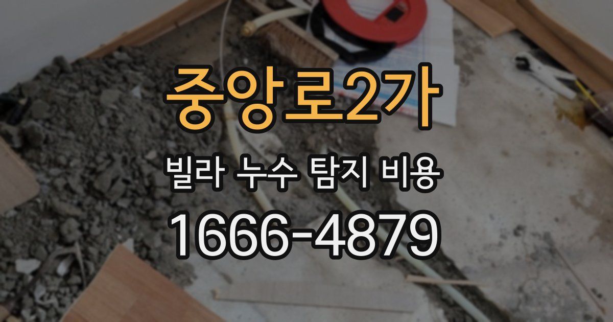 중앙로2가 빌라 누수 탐지 비용
