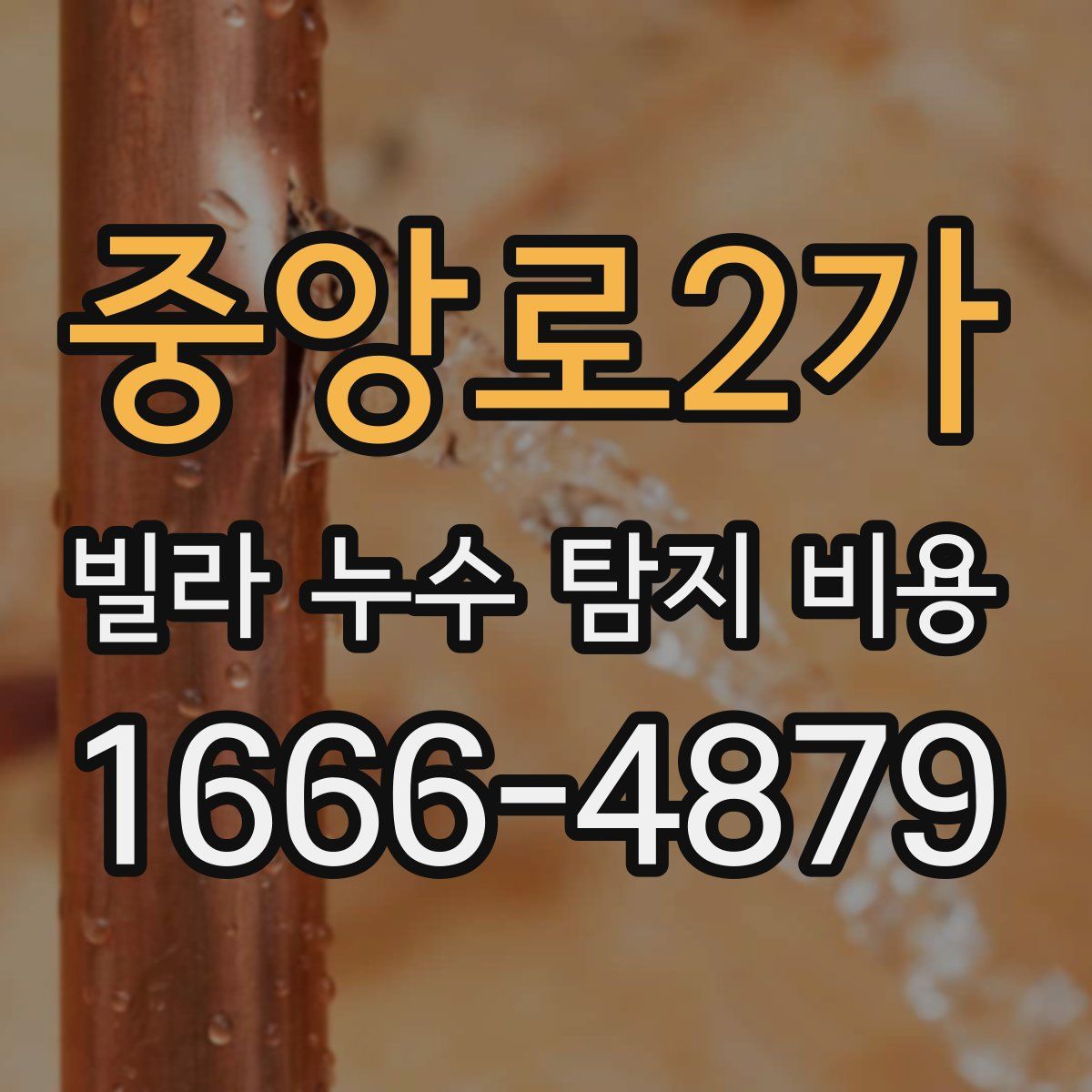 중앙로2가 빌라 누수 탐지 비용