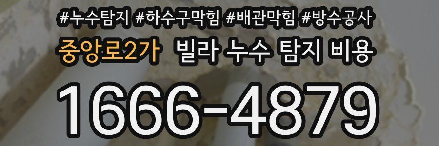 중앙로2가 빌라 누수 탐지 비용