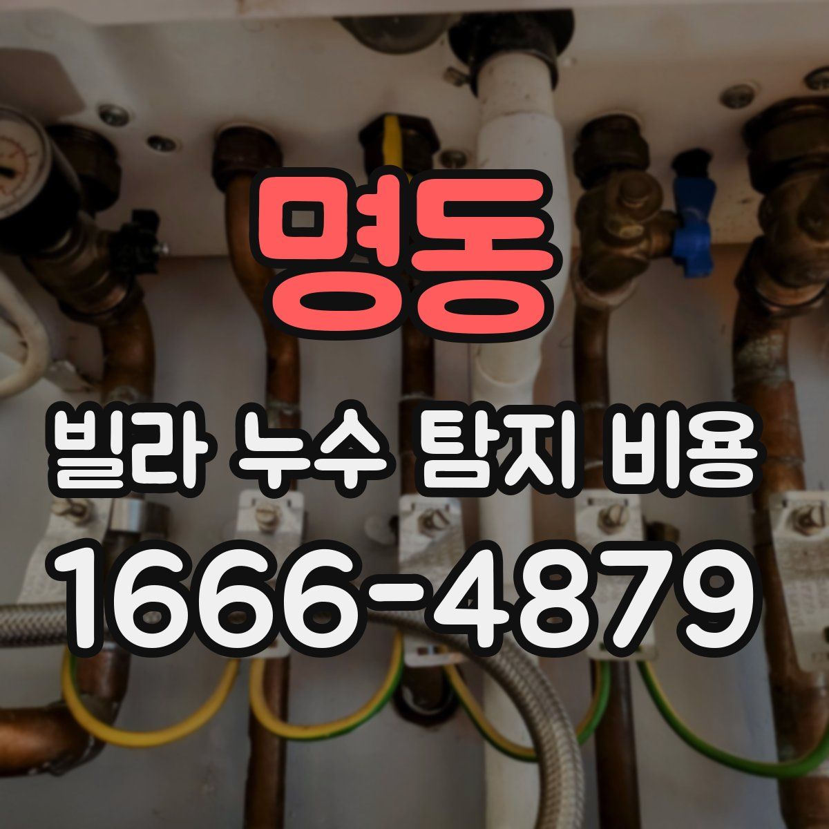 명동 빌라 누수 탐지 비용