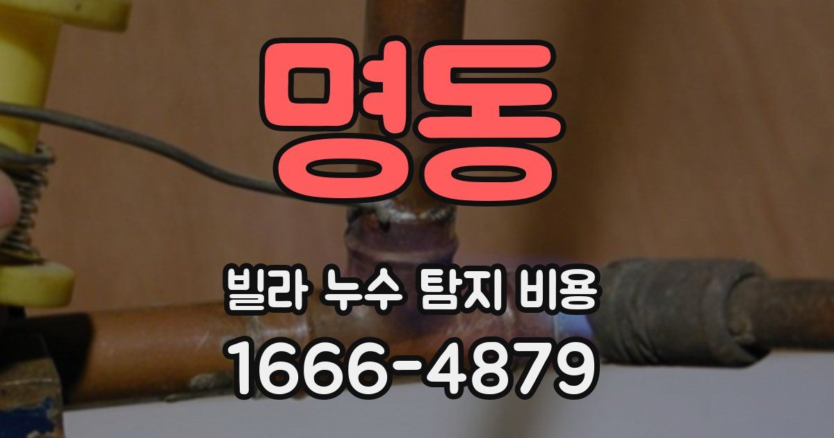 명동 빌라 누수 탐지 비용