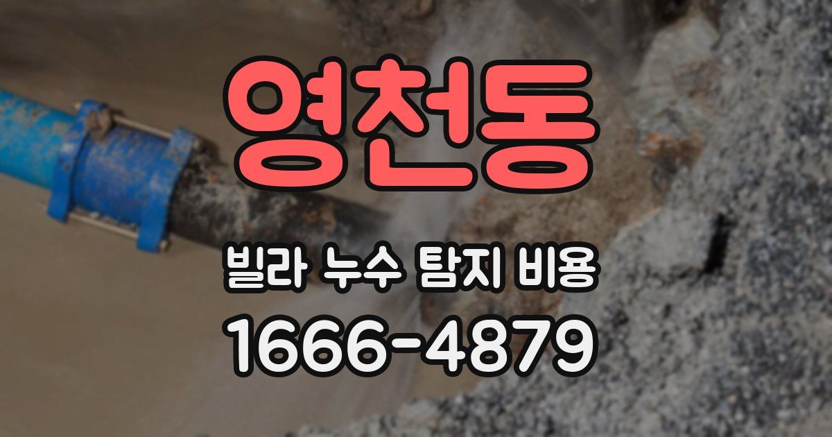 영천동 빌라 누수 탐지 비용