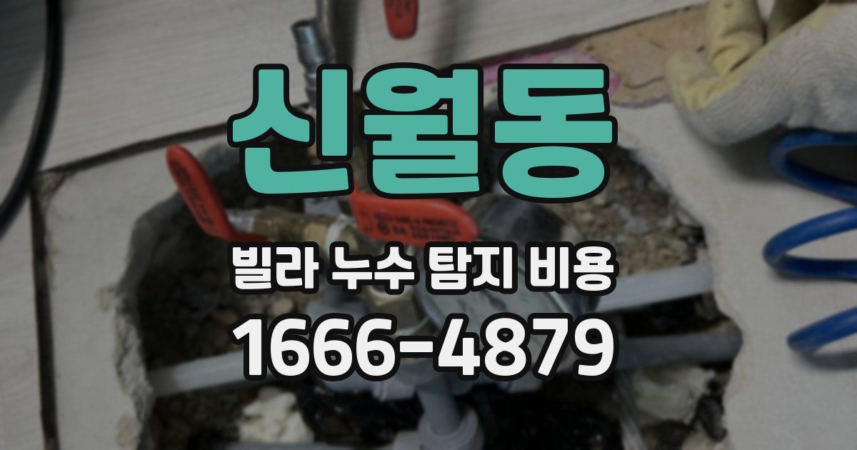 신월동 빌라 누수 탐지 비용
