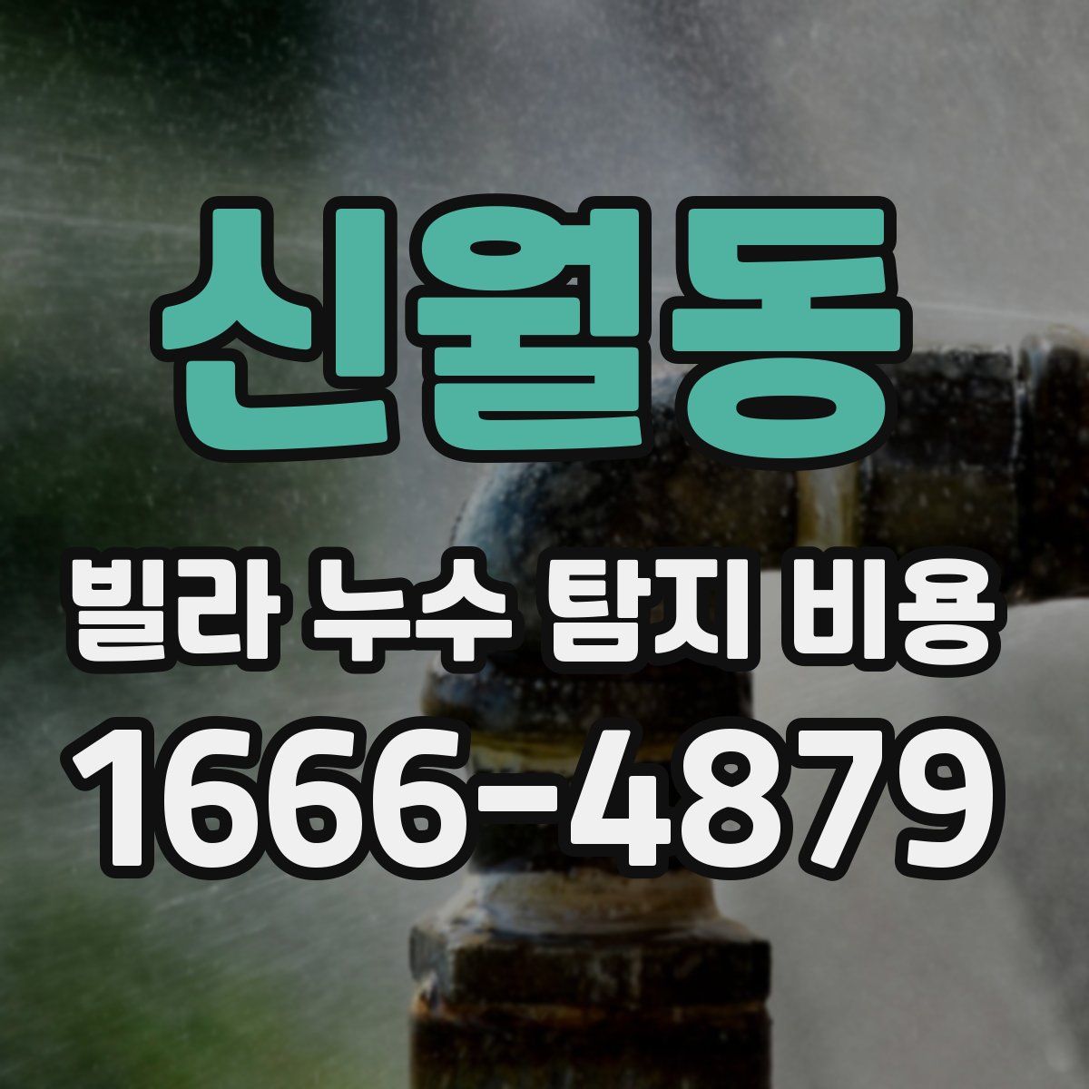 신월동 빌라 누수 탐지 비용