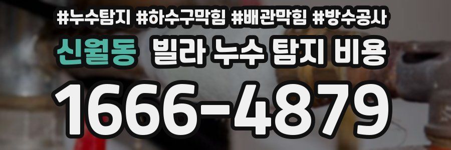 신월동 빌라 누수 탐지 비용