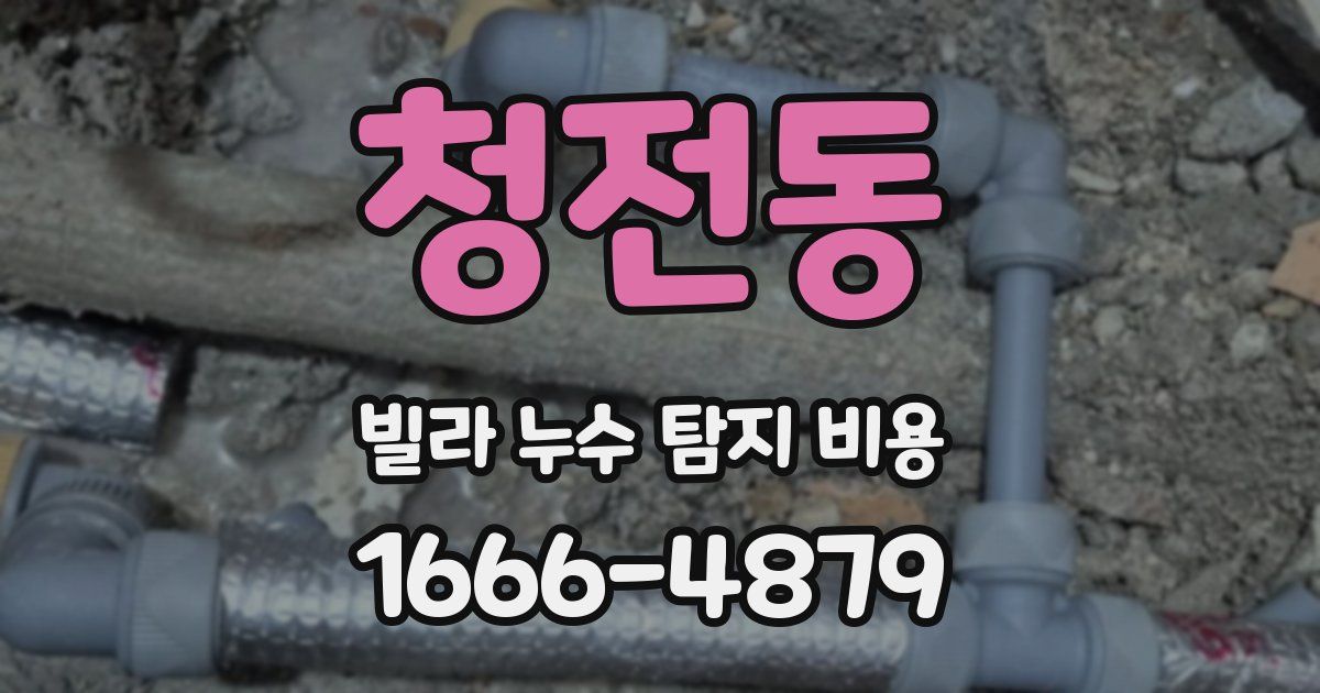 청전동 빌라 누수 탐지 비용