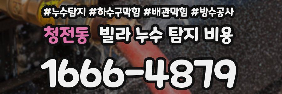 청전동 빌라 누수 탐지 비용