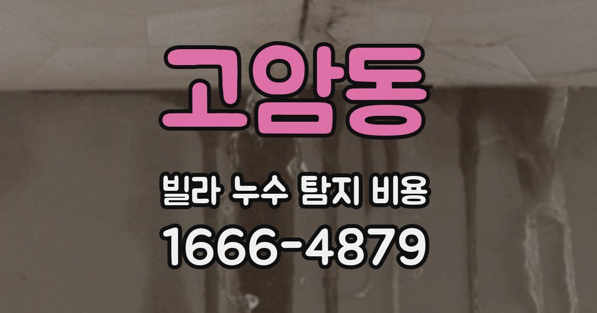 고암동 빌라 누수 탐지 비용