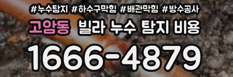 고암동 빌라 누수 탐지 비용