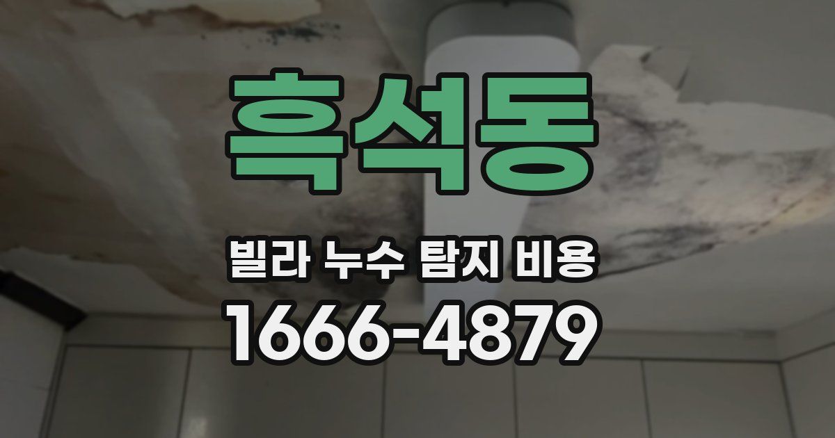 흑석동 빌라 누수 탐지 비용