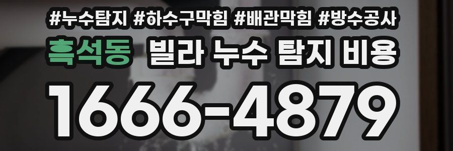 흑석동 빌라 누수 탐지 비용