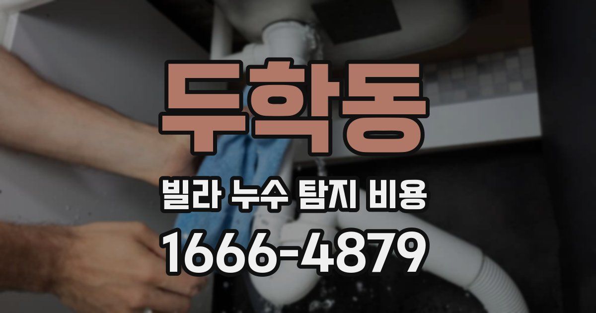 두학동 빌라 누수 탐지 비용