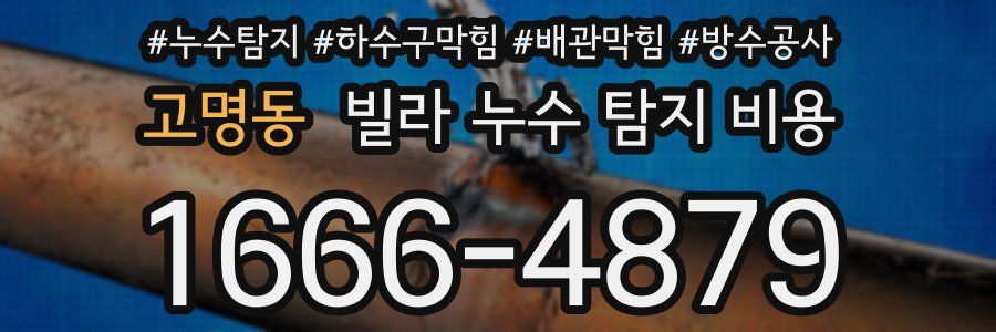 고명동 빌라 누수 탐지 비용