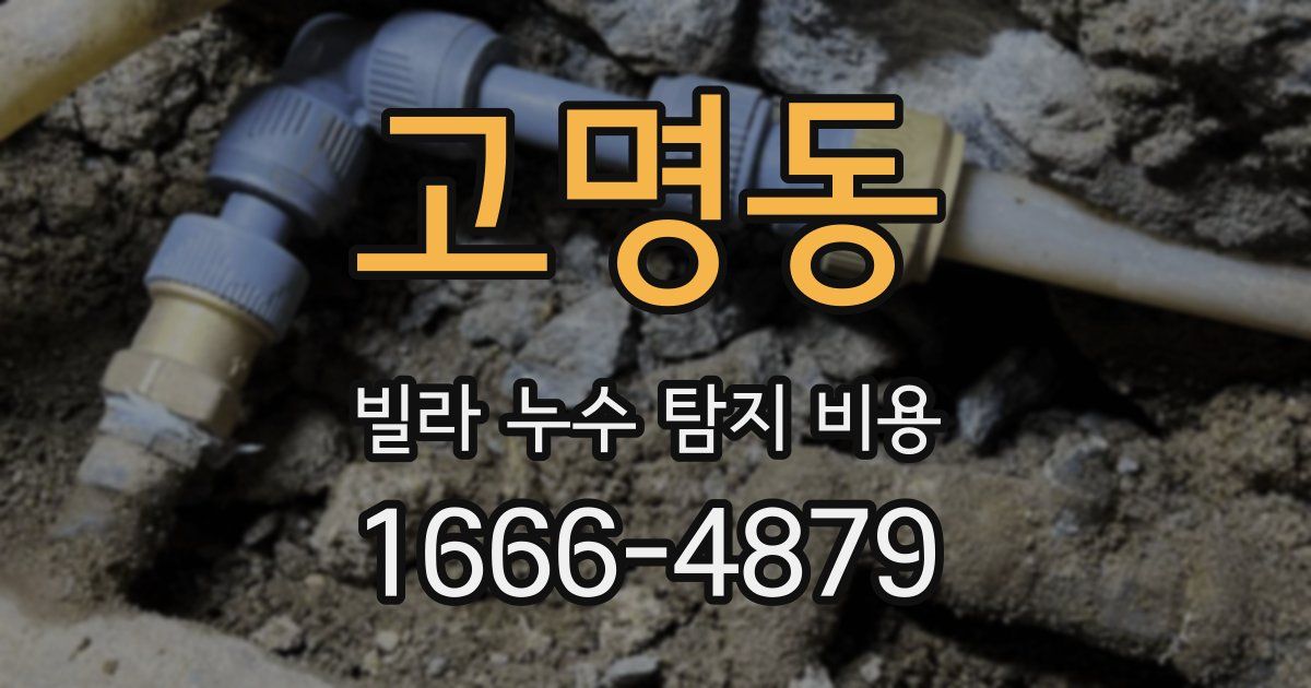 고명동 빌라 누수 탐지 비용
