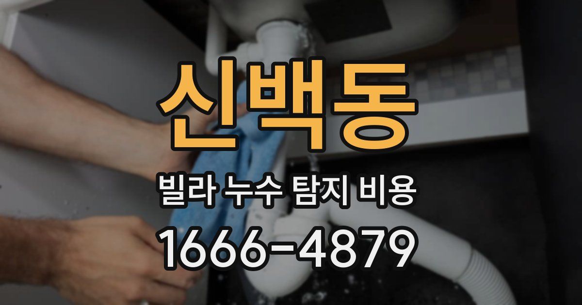 신백동 빌라 누수 탐지 비용