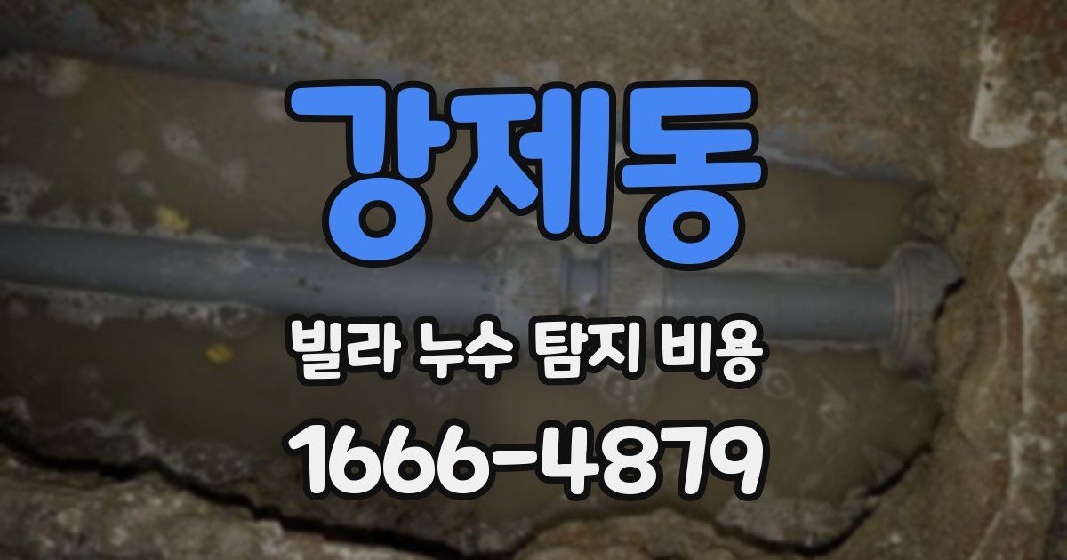 강제동 빌라 누수 탐지 비용