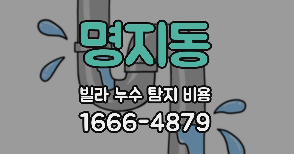 명지동 빌라 누수 탐지 비용