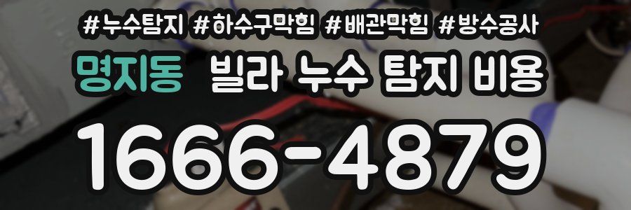 명지동 빌라 누수 탐지 비용