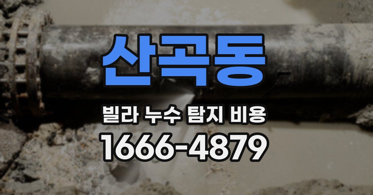 산곡동 빌라 누수 탐지 비용