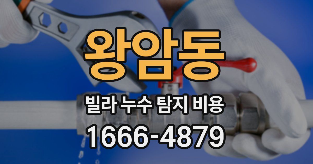 왕암동 빌라 누수 탐지 비용