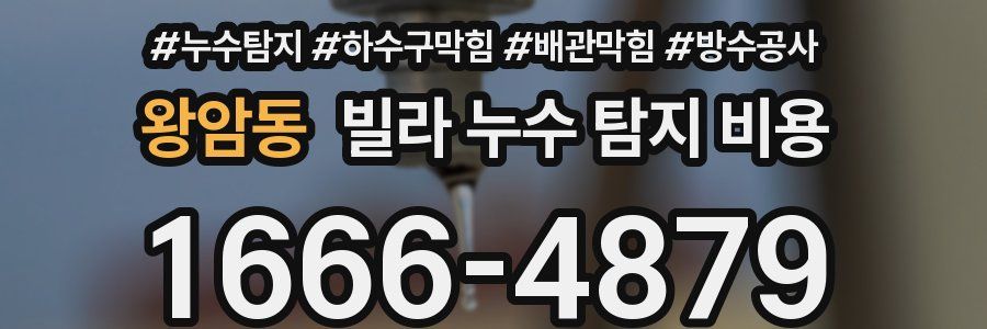 왕암동 빌라 누수 탐지 비용