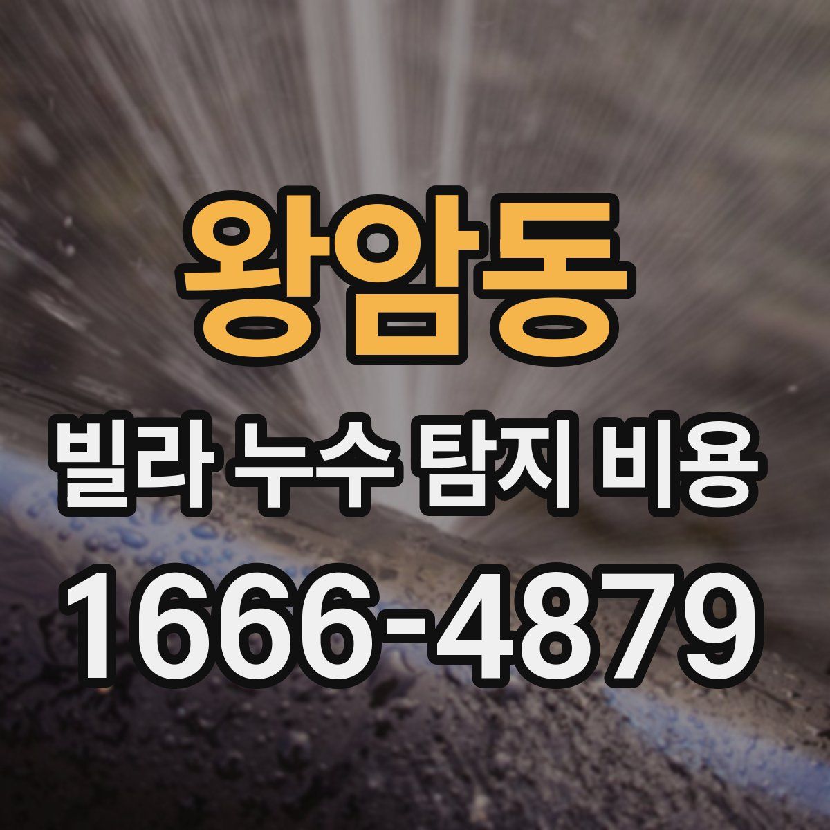 왕암동 빌라 누수 탐지 비용