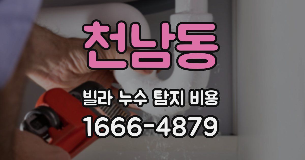 천남동 빌라 누수 탐지 비용
