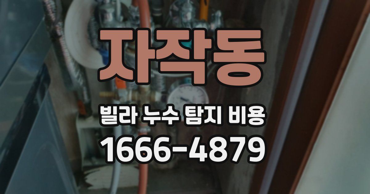 자작동 빌라 누수 탐지 비용