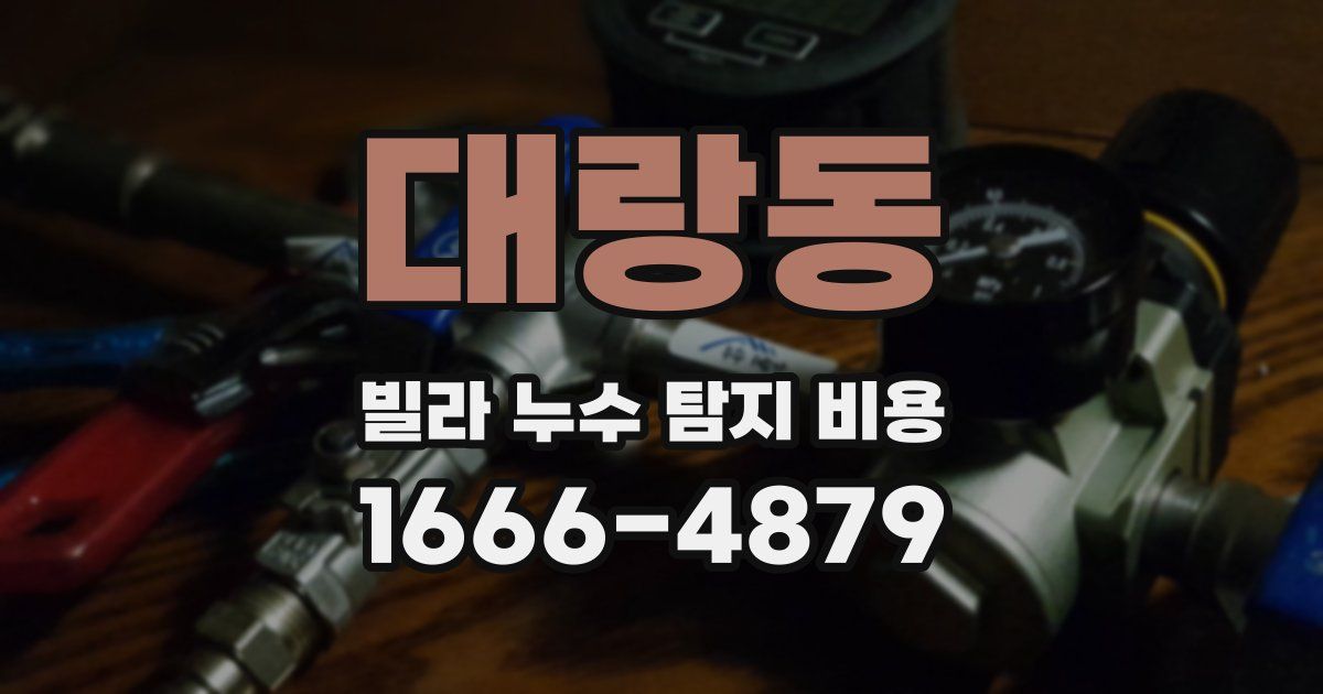 대랑동 빌라 누수 탐지 비용