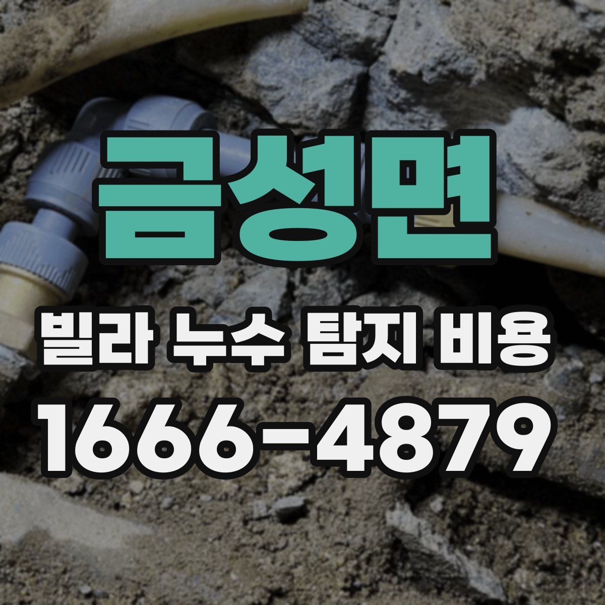 금성면 빌라 누수 탐지 비용