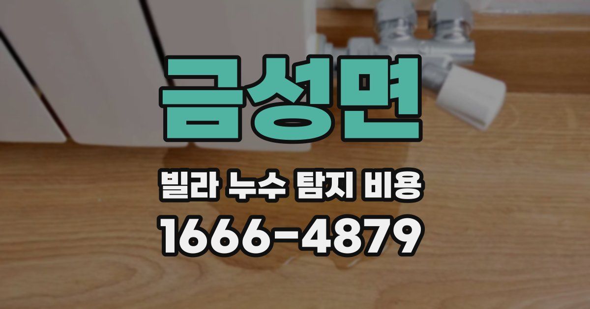 금성면 빌라 누수 탐지 비용