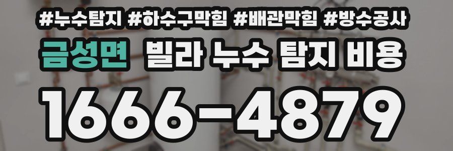 금성면 빌라 누수 탐지 비용