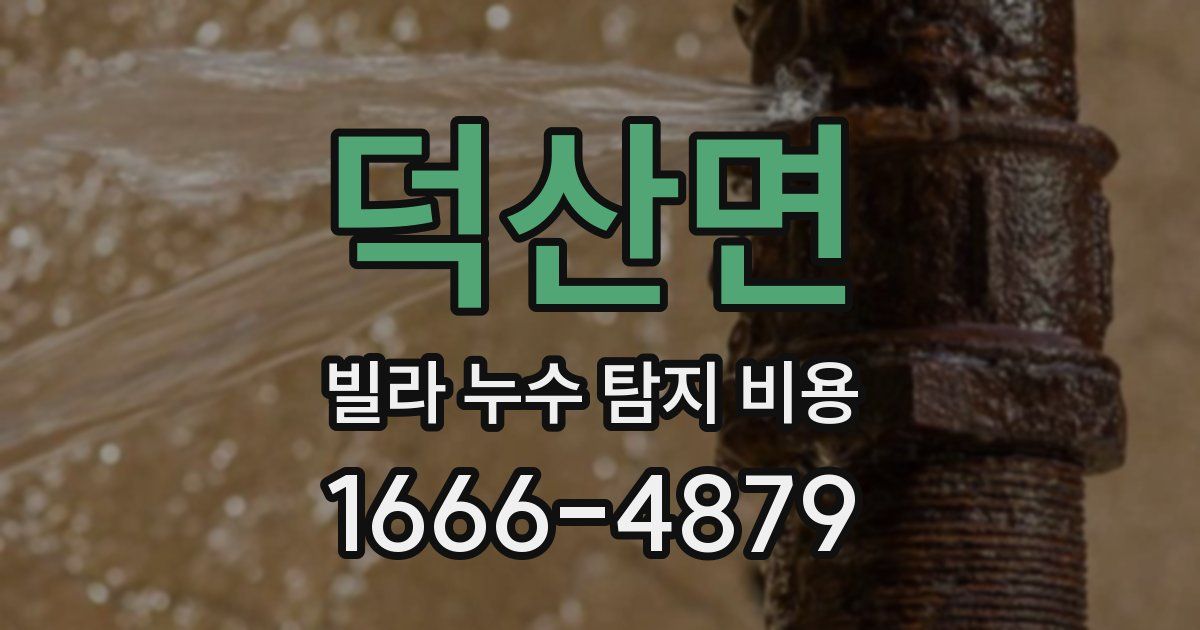 덕산면 빌라 누수 탐지 비용