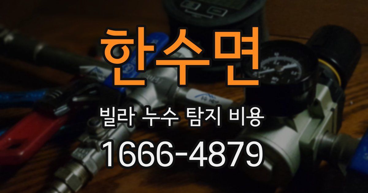 한수면 빌라 누수 탐지 비용