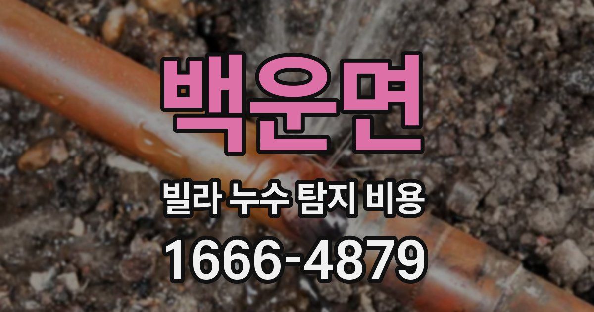 백운면 빌라 누수 탐지 비용