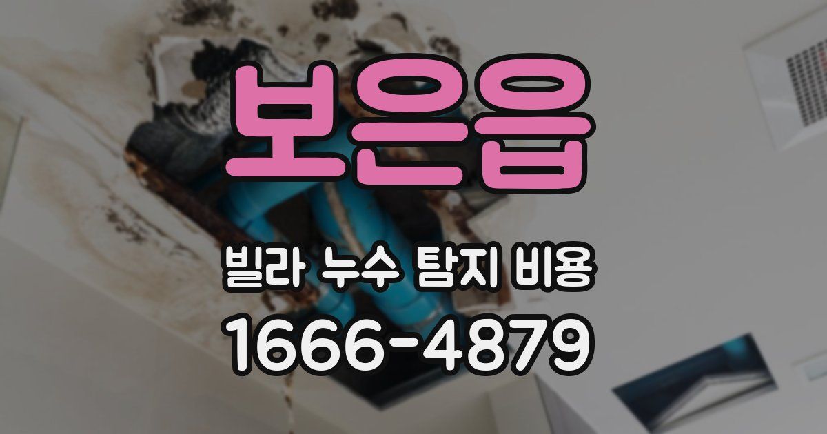 보은읍 빌라 누수 탐지 비용