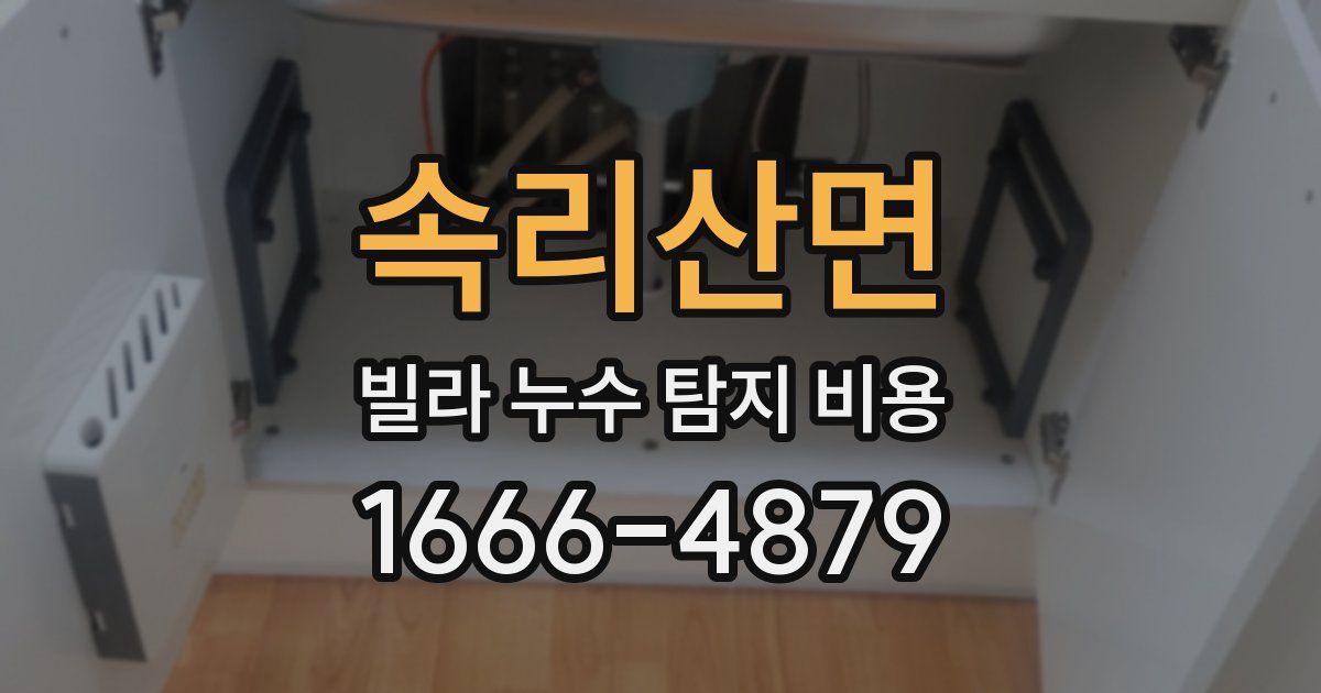 속리산면 빌라 누수 탐지 비용