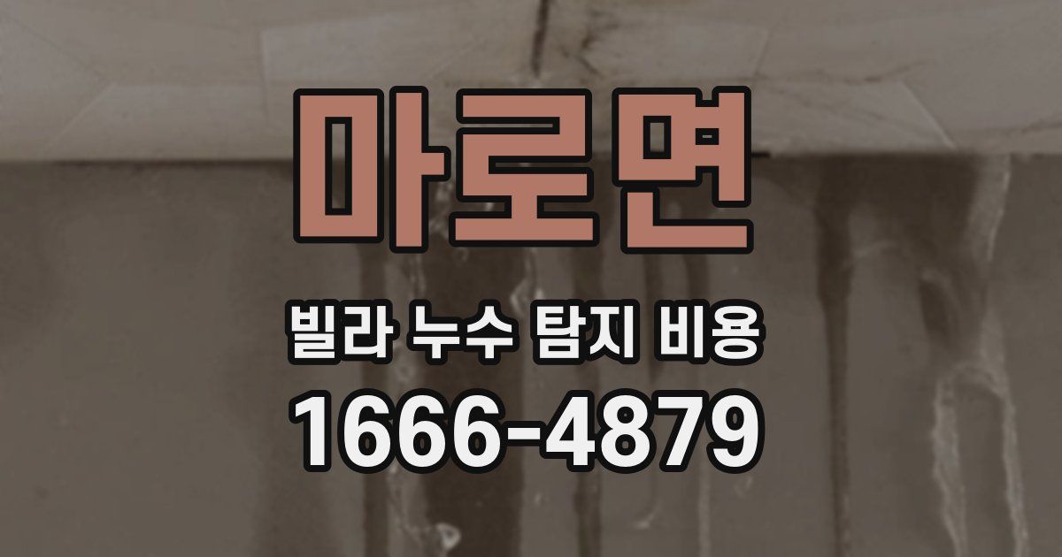 마로면 빌라 누수 탐지 비용