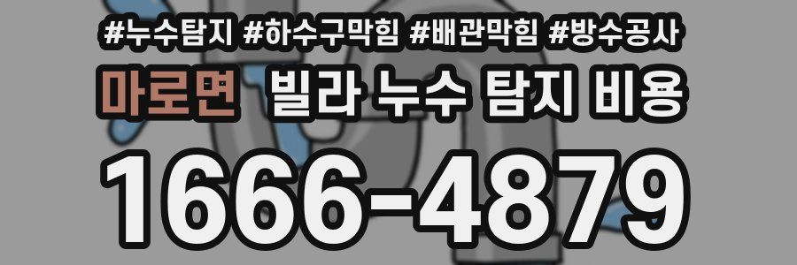 마로면 빌라 누수 탐지 비용