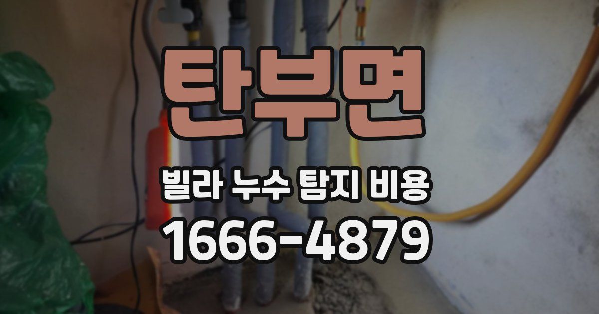 탄부면 빌라 누수 탐지 비용