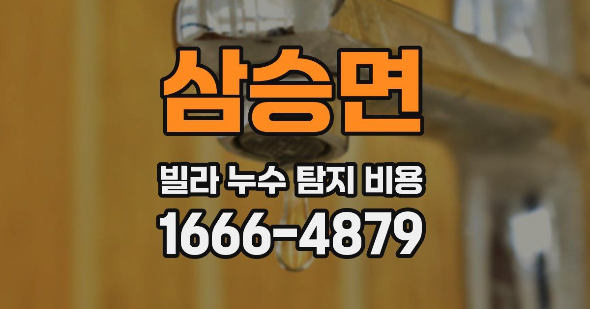 삼승면 빌라 누수 탐지 비용