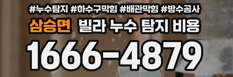 삼승면 빌라 누수 탐지 비용