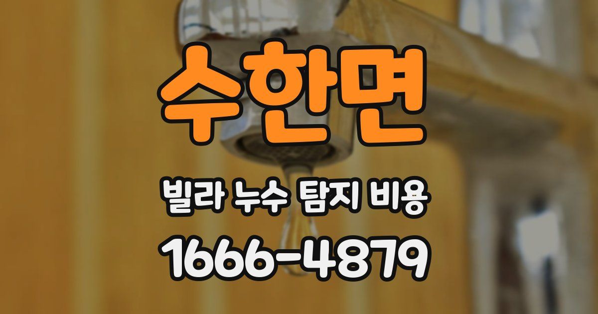 수한면 빌라 누수 탐지 비용