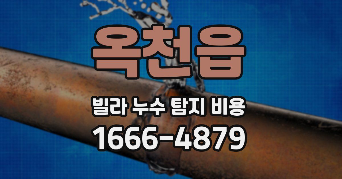 옥천읍 빌라 누수 탐지 비용