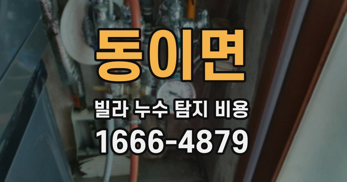 동이면 빌라 누수 탐지 비용