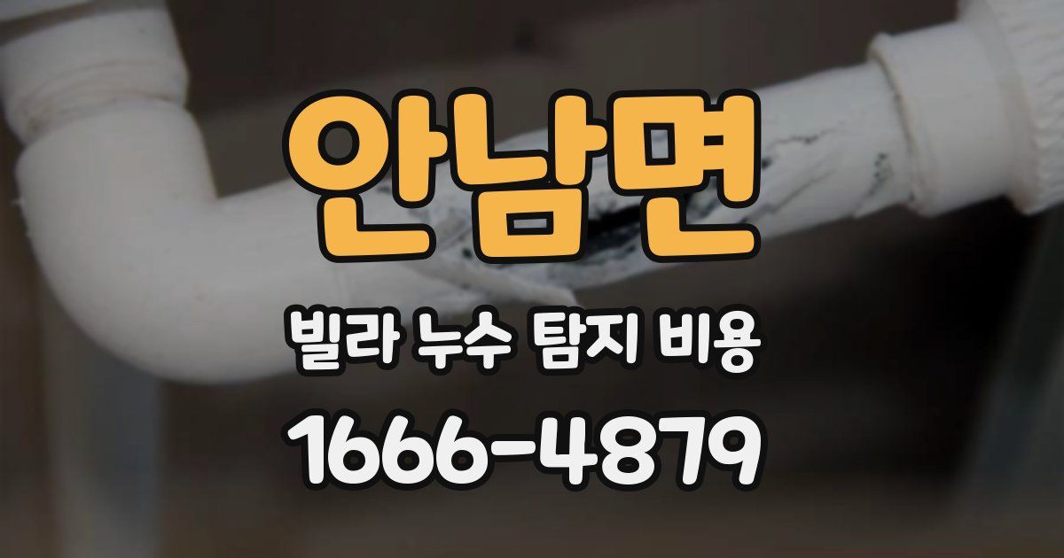 안남면 빌라 누수 탐지 비용